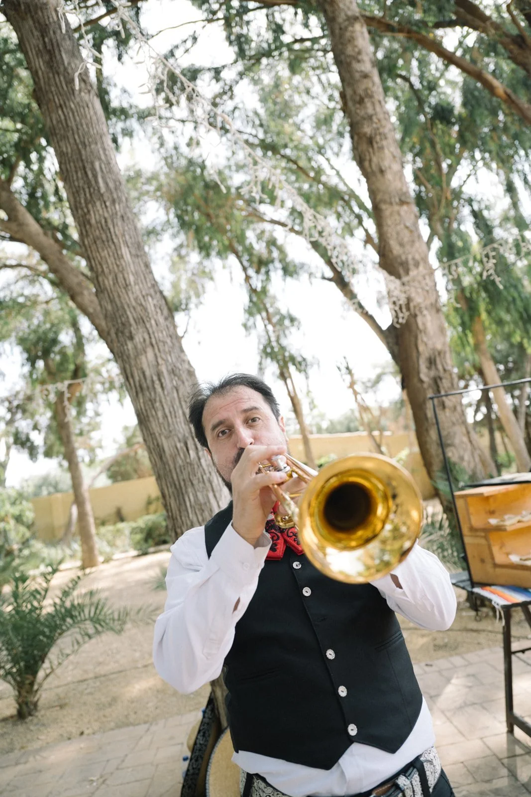 Mariachi musician performing at the wedding