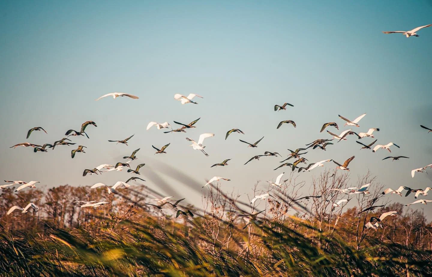 &ldquo;Adopt the pace of nature: her secret is patience.&rdquo;

Ralph Waldo Emerson
