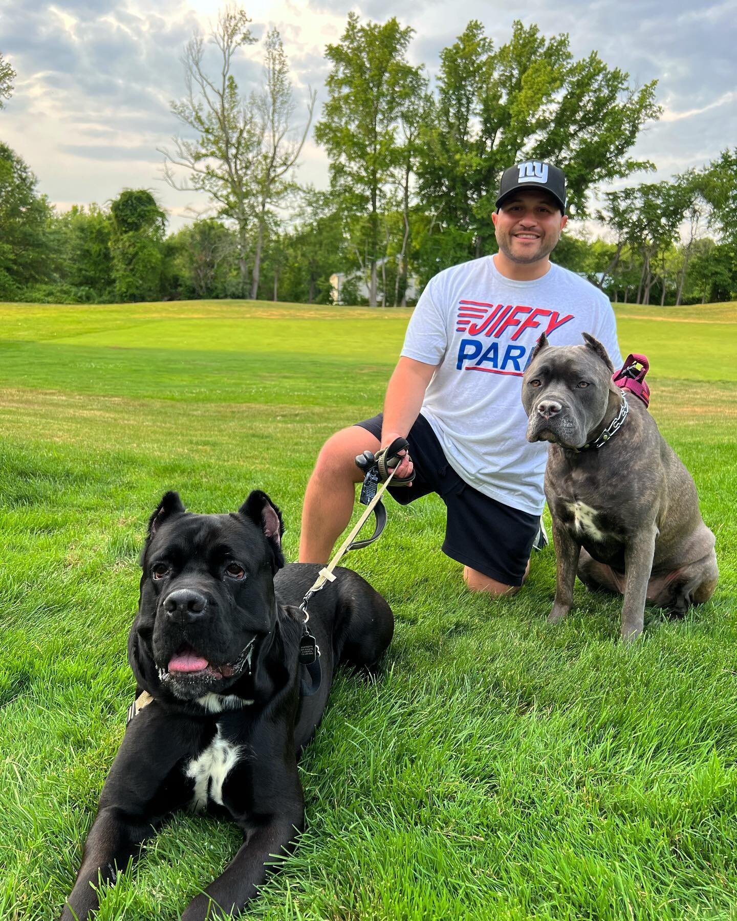 Happy Father&rsquo;s Day to all the human + dog Dads out there‼️
.
.
.
.
Dog Treat Bribery: @amorette_luchia 
📸: @kikicaris 
.
.
.
.
#Ledg #Pow #DJCam #CaneCorso #DogDad #Montepulciano #Mirabella #SweetiePie #Dog #Puppy #JiffyPark #Seinfeld #NYG