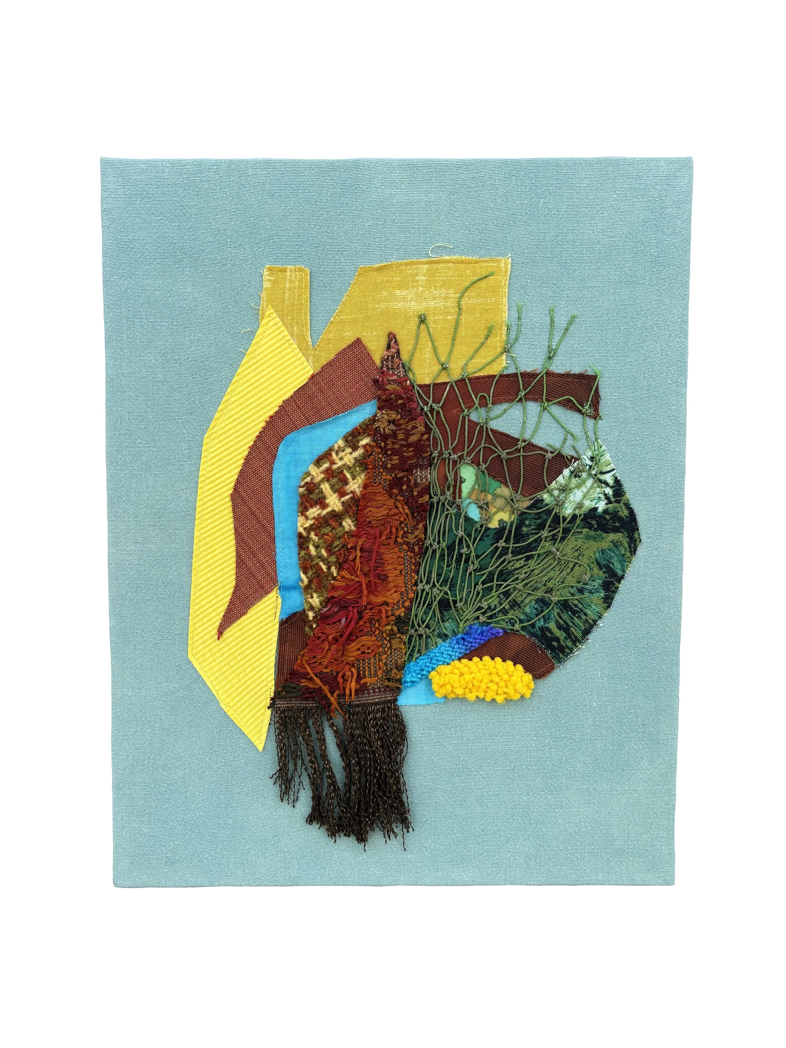 Fabric Study no. 31