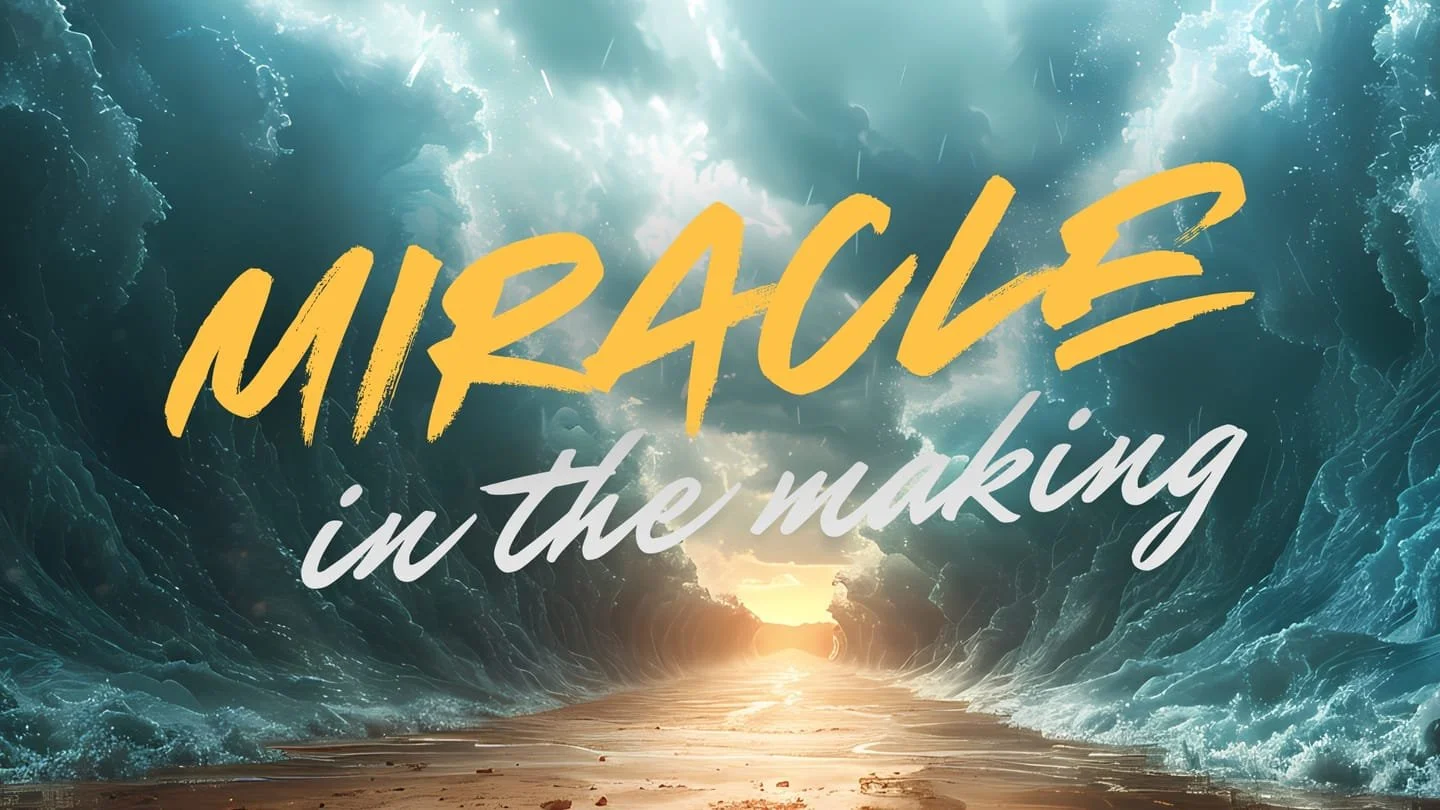 Miracle In The Making