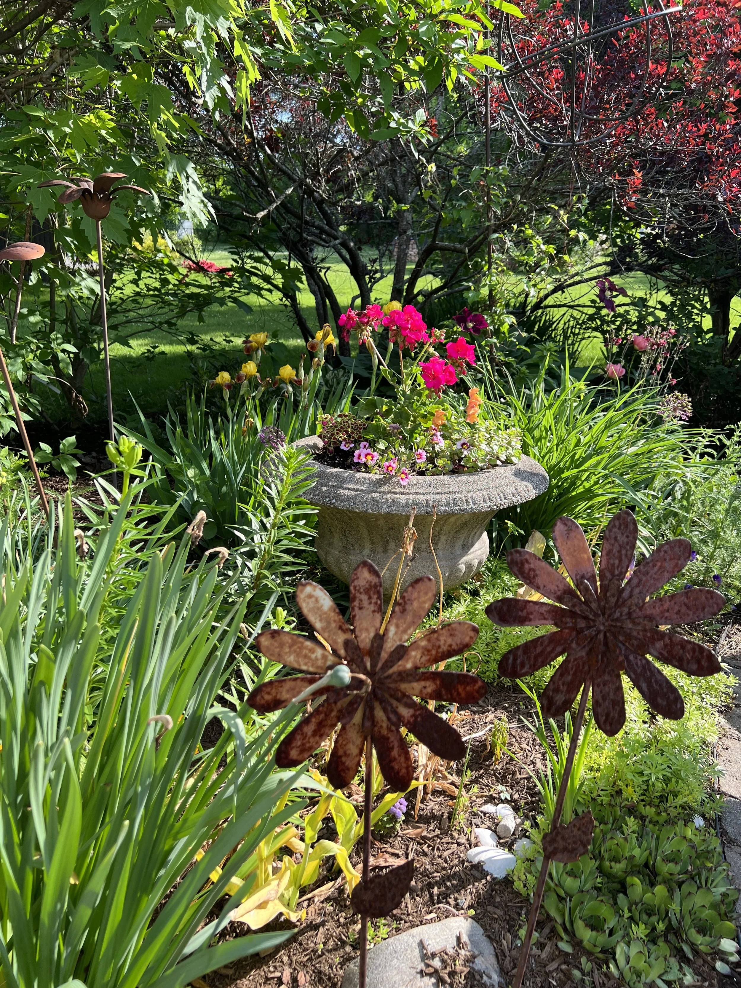 potted plant in garden.jpeg