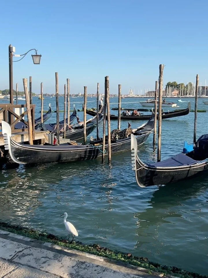 Taking a little pause from the studio to wander, rest, and refill the creative well. ✨
 Brett and I are on an EPIC adventure that started in Venice. We&rsquo;ve set sail on a Viking cruise &mdash; a journey of light, color, and inspiration. I&rsquo;m