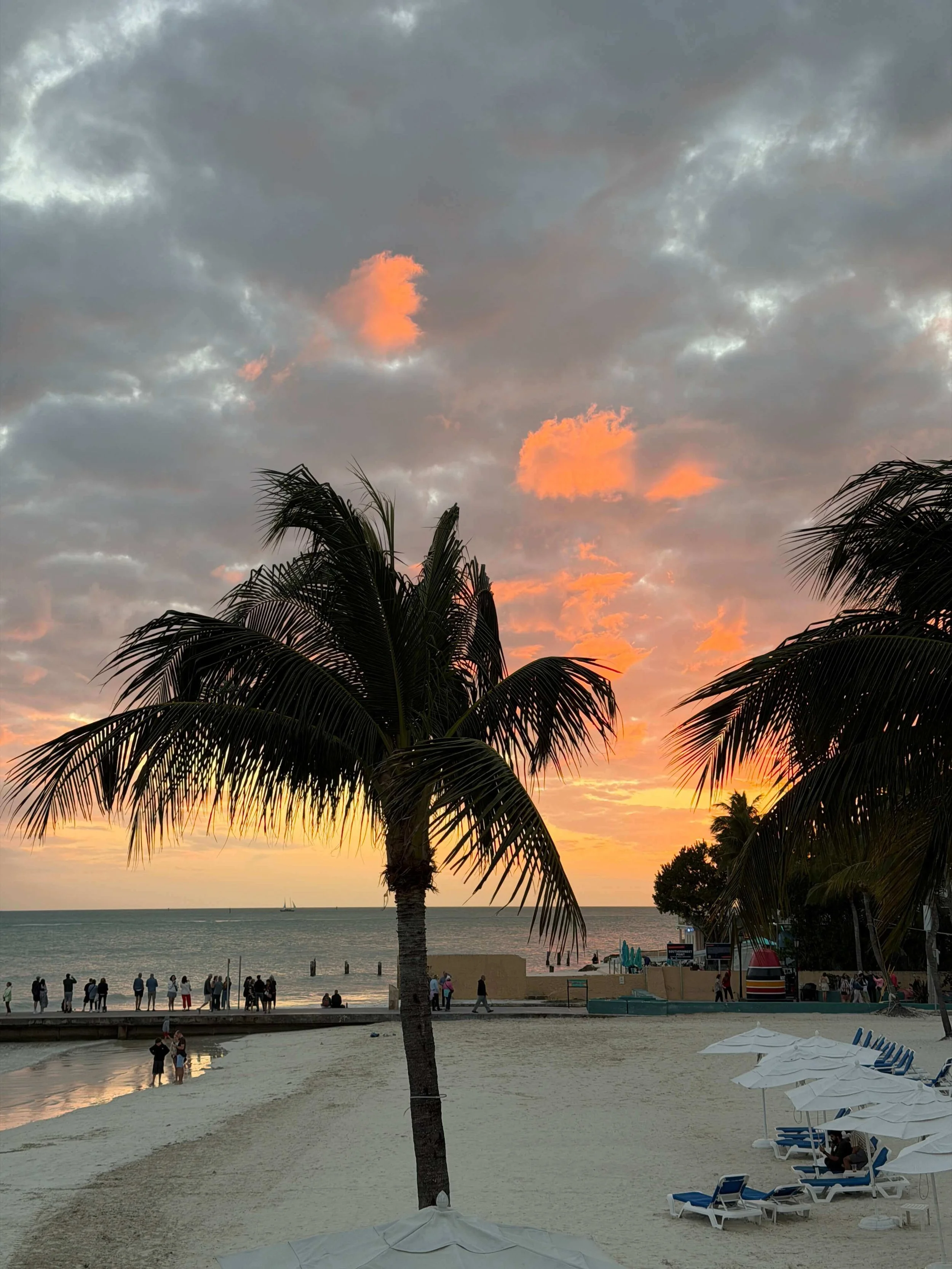 IMG_0627 copy (2).jpeg