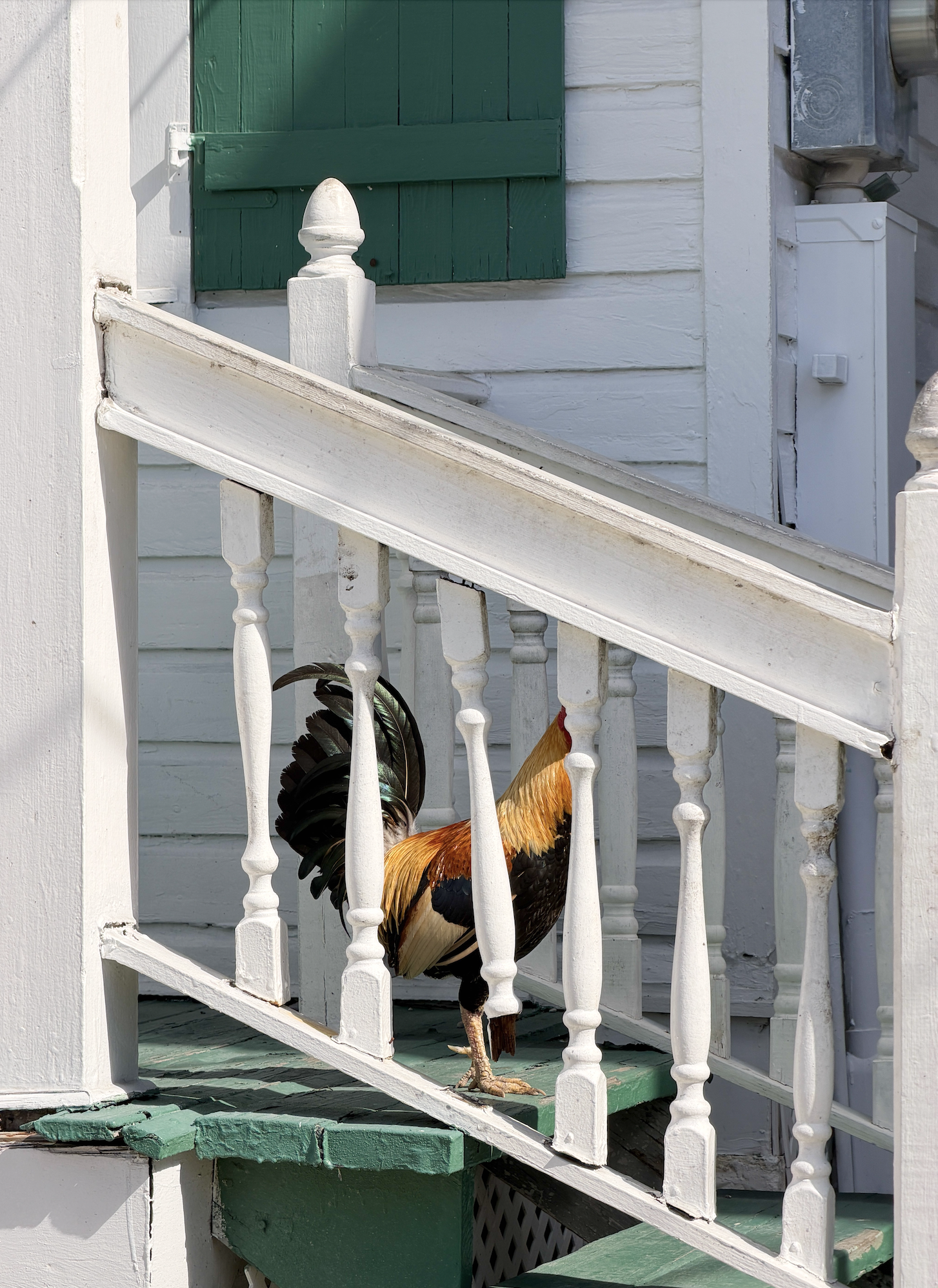 Screenshot 2026-01-25 at 4.13.22 PM.png