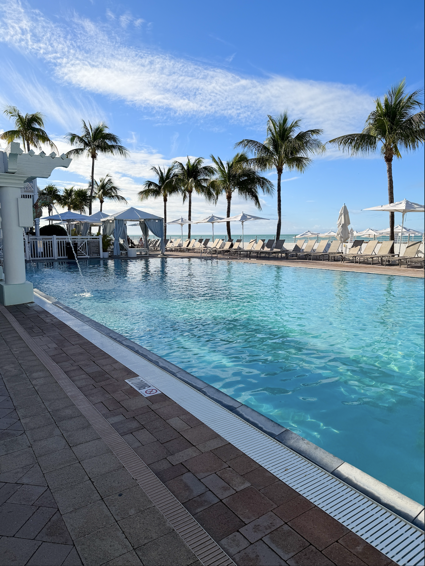 Screenshot 2026-01-25 at 4.41.40 PM.png