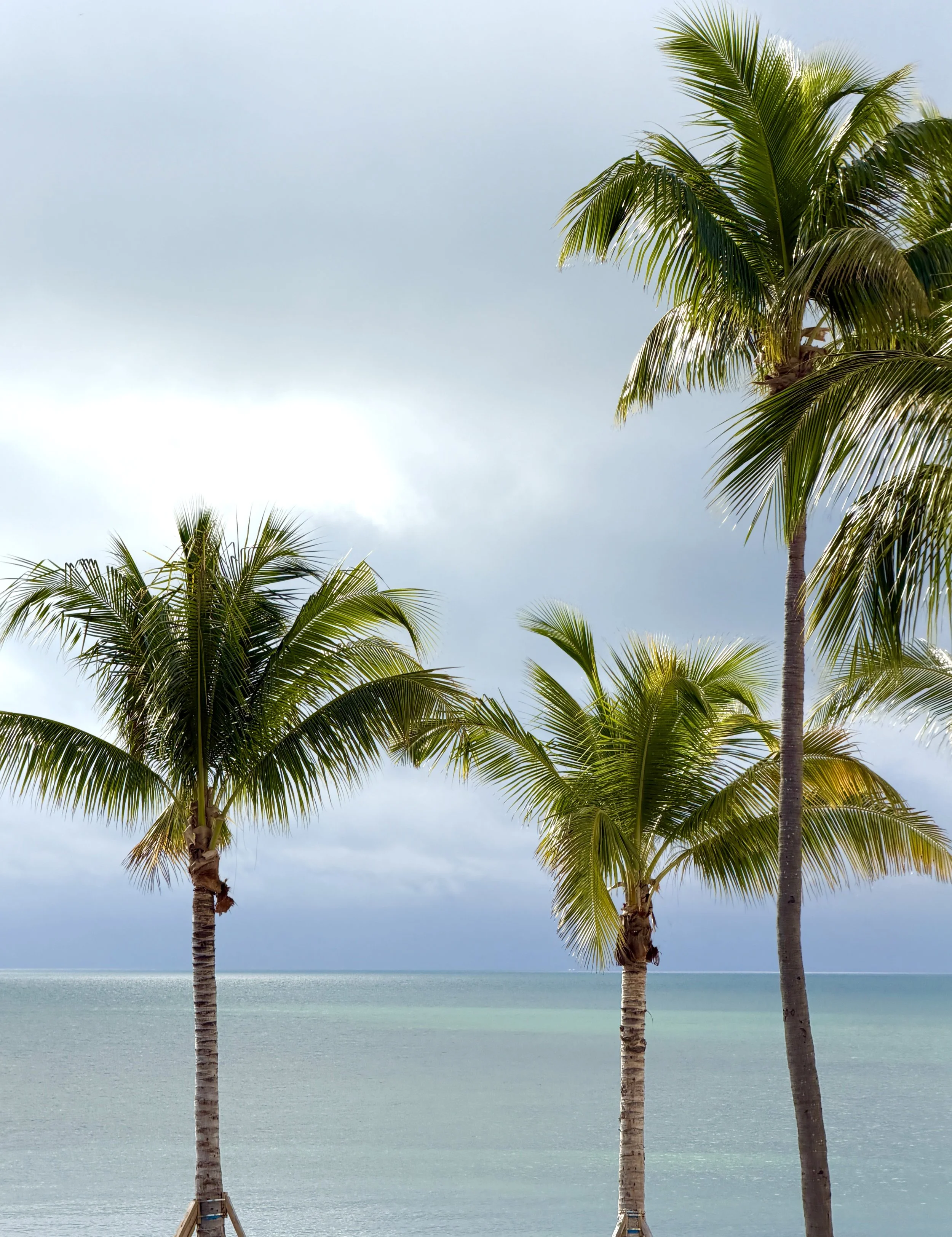Key West: A Love Letter to Island Time, Art, and Escapism