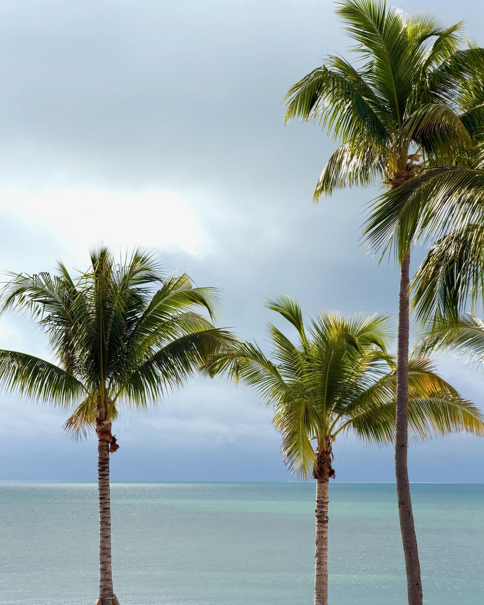 I&rsquo;ve been carrying a little Key West with me lately. 🌴

The kind of place that slows your breathing, softens your thoughts, and reminds you that life doesn&rsquo;t need to be rushed to be full.

I&rsquo;m sharing a love letter to island time i