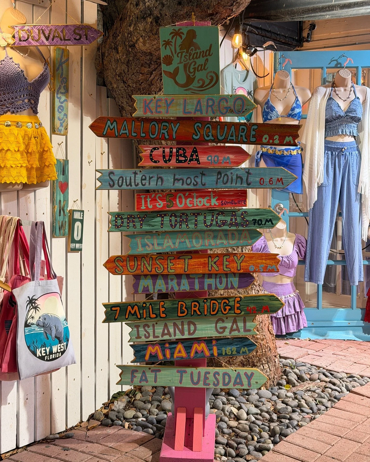 🌴 Key West has a way of surprising you.

Roosters wandering the streets like they own the place.
Sunsets that feel almost too generous.
Live music every night.
The quiet permission to slow down and stay awhile.

I wrote about this trip &mdash; the a