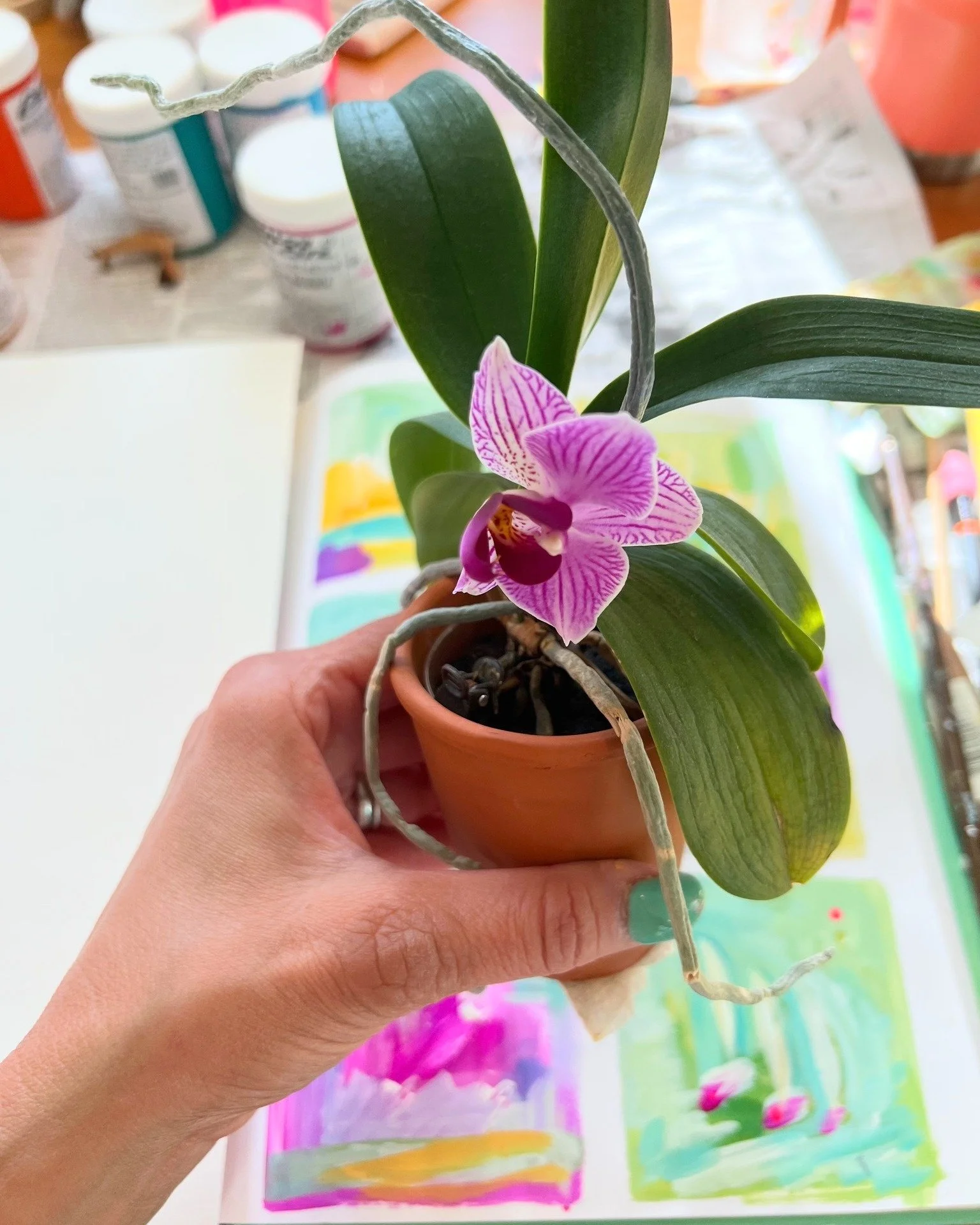 I&rsquo;m starting the week noticing small, beautiful things &mdash; 
a bloom on my table, sunlight on wet paint, a song that lifts my spirits. 🌸

What little thing has brought you joy today? 💛