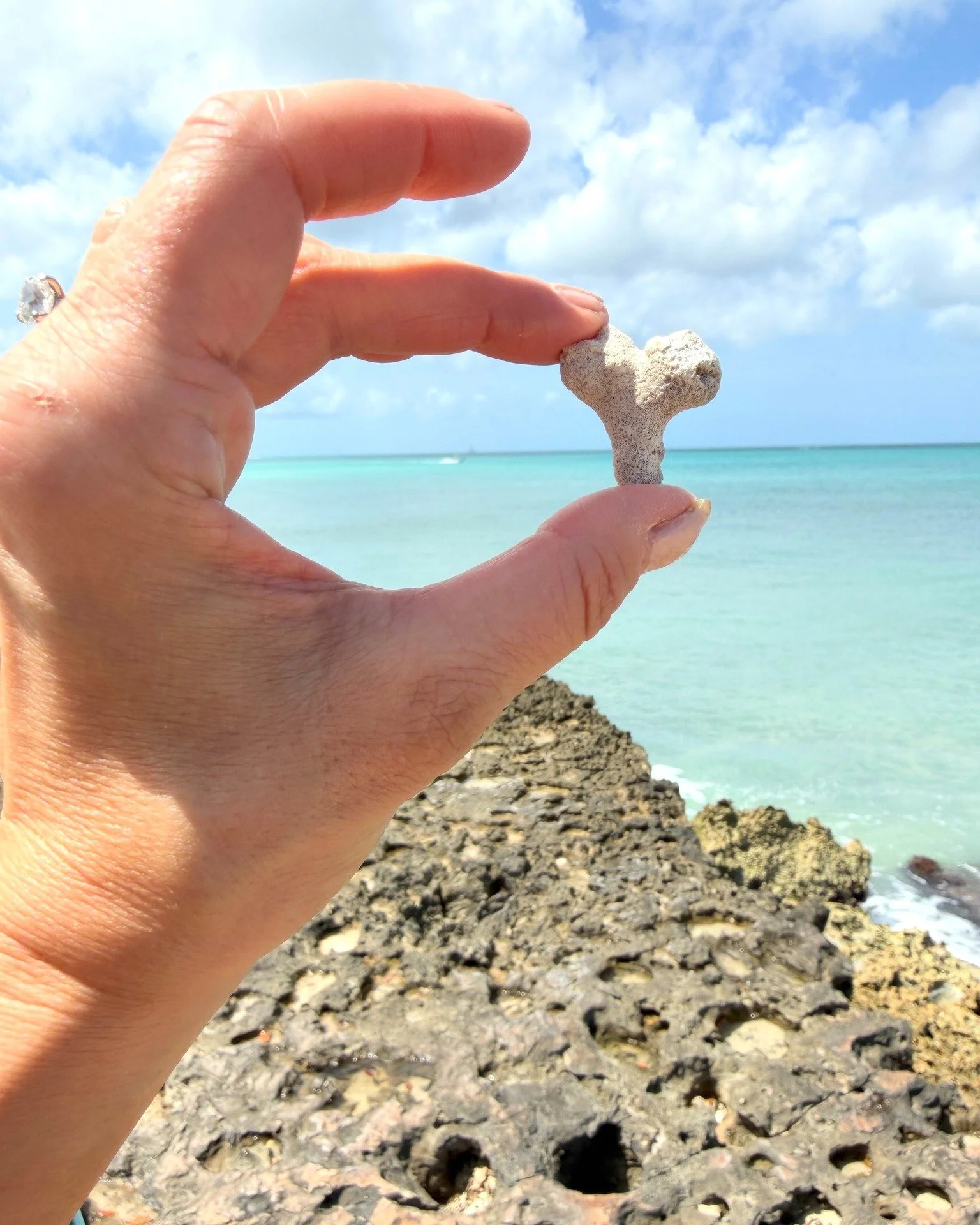 A few things I brought home with me&hellip;

Ocean air
Soft light
A slower way of moving through the day
And small treasures I didn&rsquo;t want to forget

I found myself sketching more than usual&mdash;trying to hold onto shapes, movement, and feeli