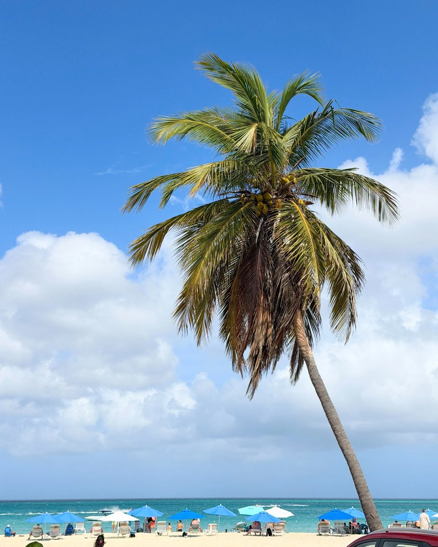 🌊 There&rsquo;s something about being near the ocean that makes everything feel a little better&hellip;

The world expands, and at the same time, quiets.

I&rsquo;ve been thinking a lot about that feeling lately&mdash;how certain places give us perm