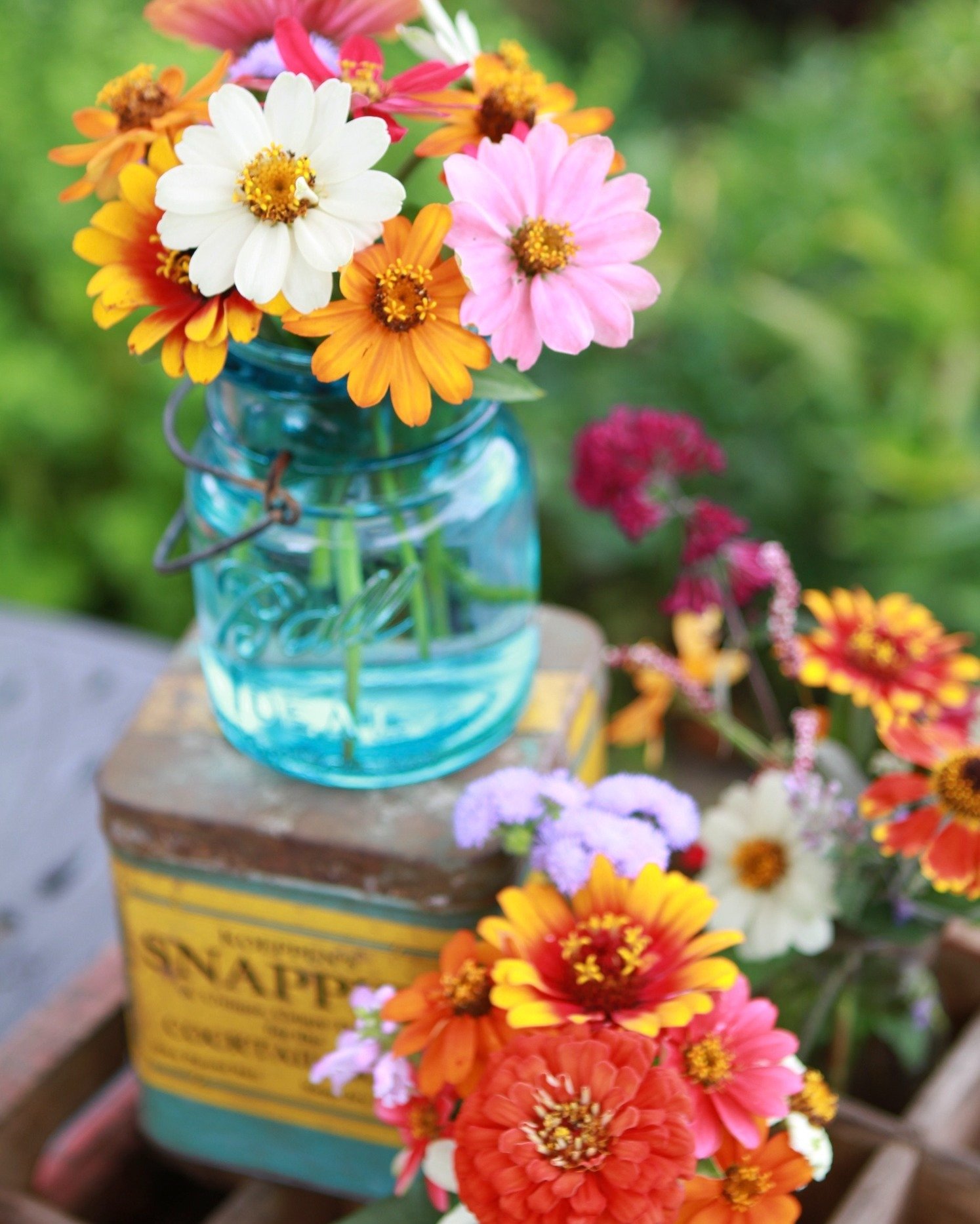 Happy National Gardening Day 🌿

I don&rsquo;t think of my garden as something I &ldquo;maintain&rdquo;&hellip;it&rsquo;s where I go to return to myself.

To breathe.
To notice.
To remember that growth doesn&rsquo;t rush.

There&rsquo;s something dee