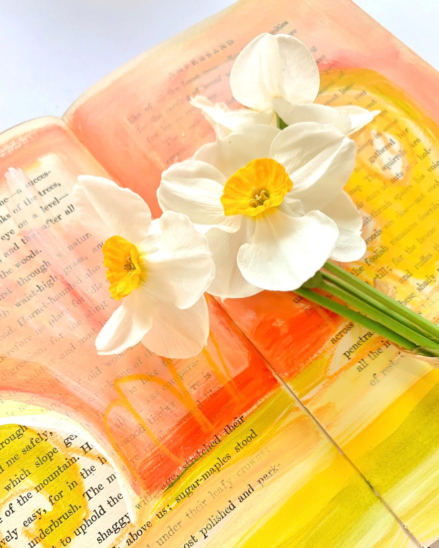 There&rsquo;s a moment each spring when everything feels like it&rsquo;s happening all at once&hellip;

The daffodils open faster than I can gather them, the weeping cherry tree blooms and lets go just as quickly, and I find myself wanting to hold on