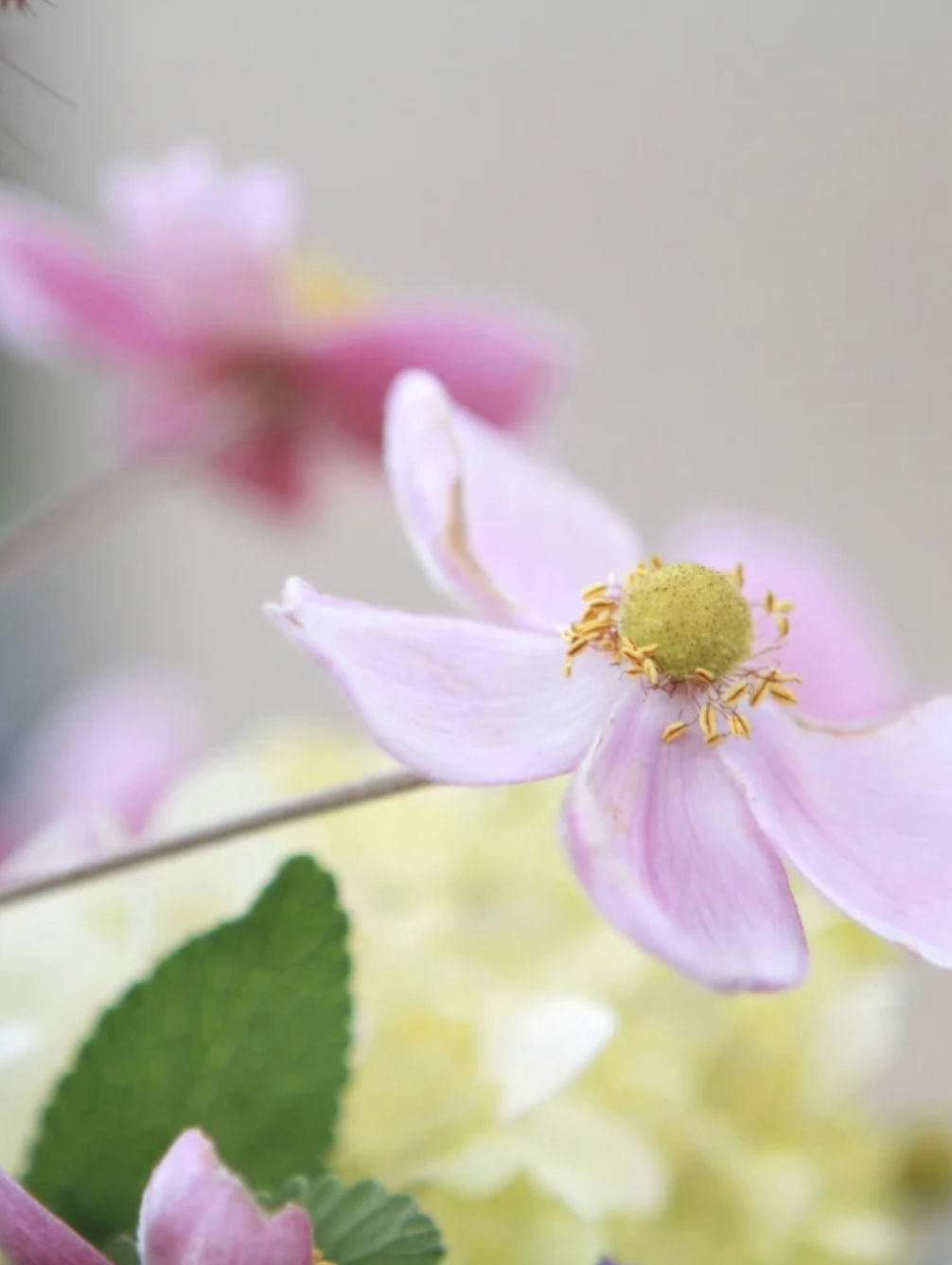 Screenshot 2026-01-07 at 1.07.55 PM.png