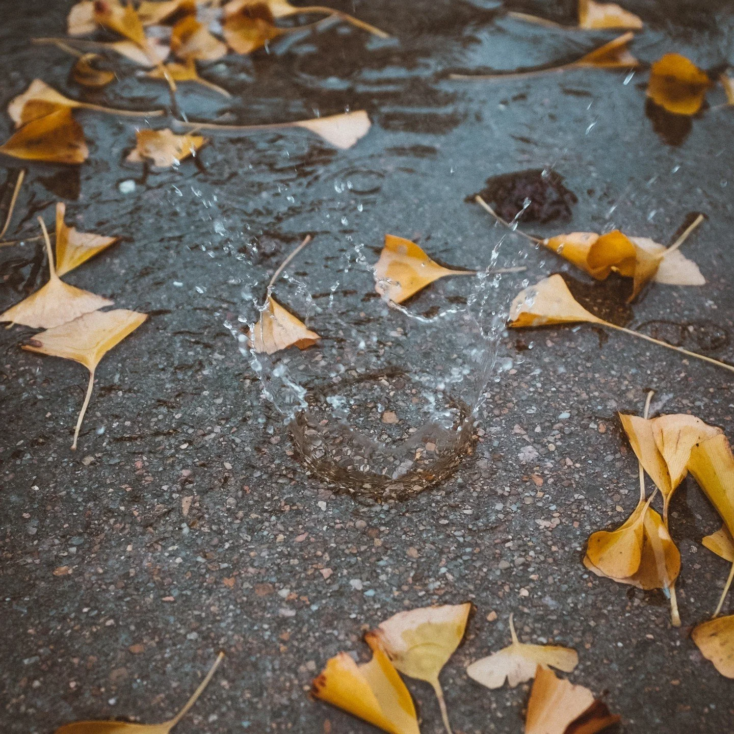 Fall is here and so are the gutters and drains full of leaves and mud! 🍂 But don't worry, because Manky Mouse &amp; The Drainiacs are here to save the day! 🦸&zwj;♂️🦸&zwj;♀️ Say goodbye to clogged drains and overflowing gutters, and hello to a stre