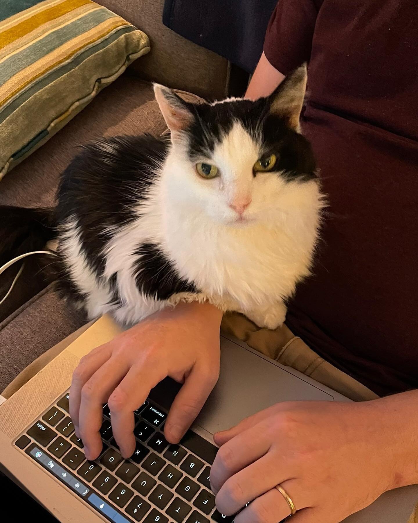 This guy is 19! Happy Birthday, Boris!