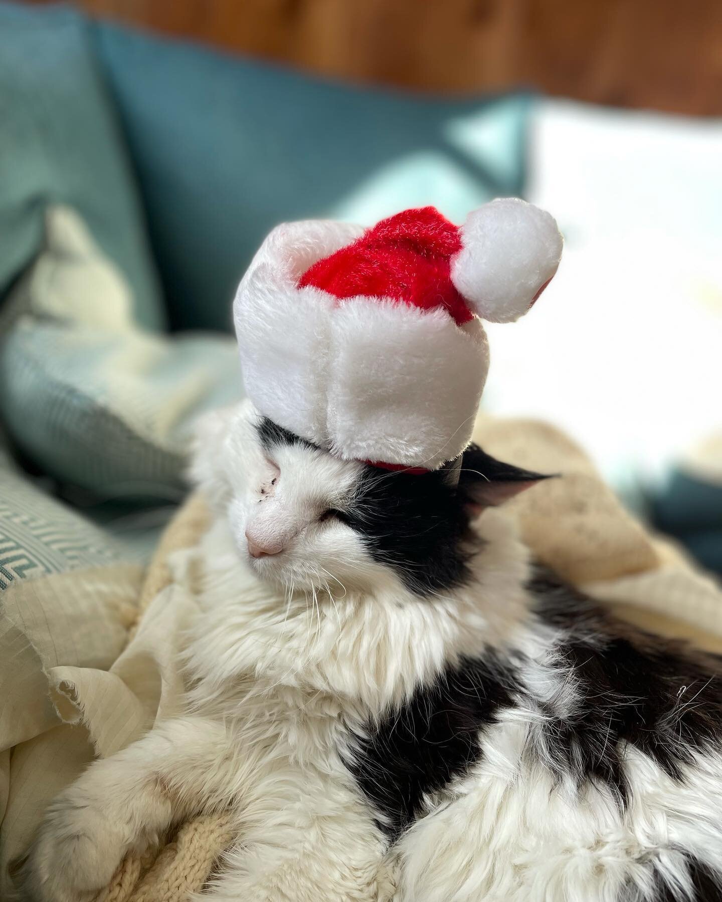 You&rsquo;re welcome.