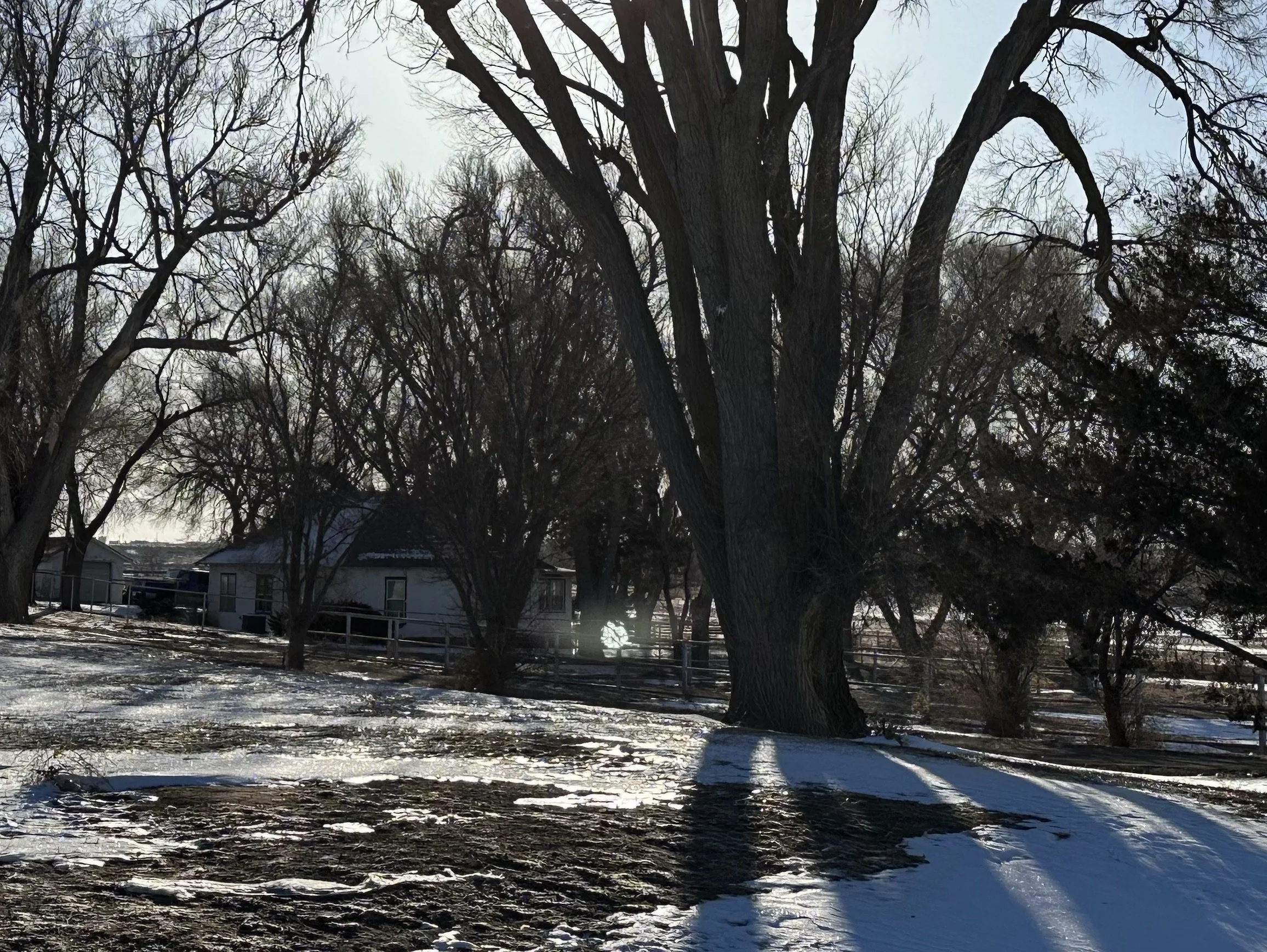 FullSizeRender 4.jpeg