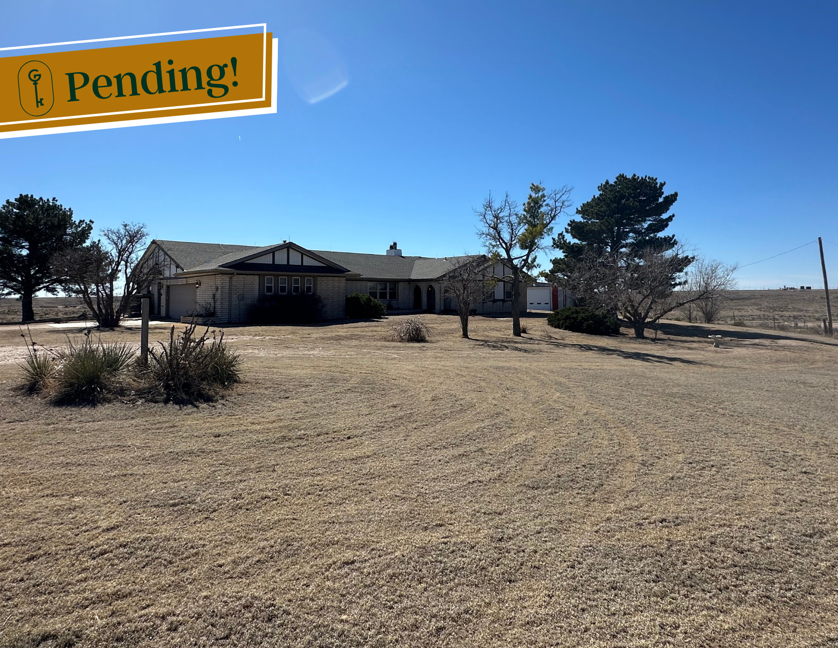 New & Pending (2).png