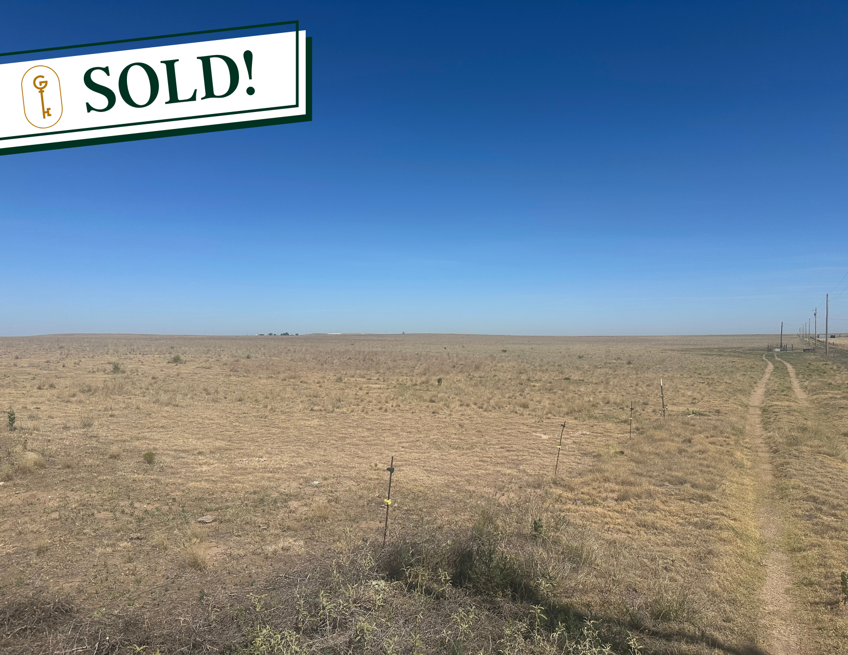 New & Pending (6).png