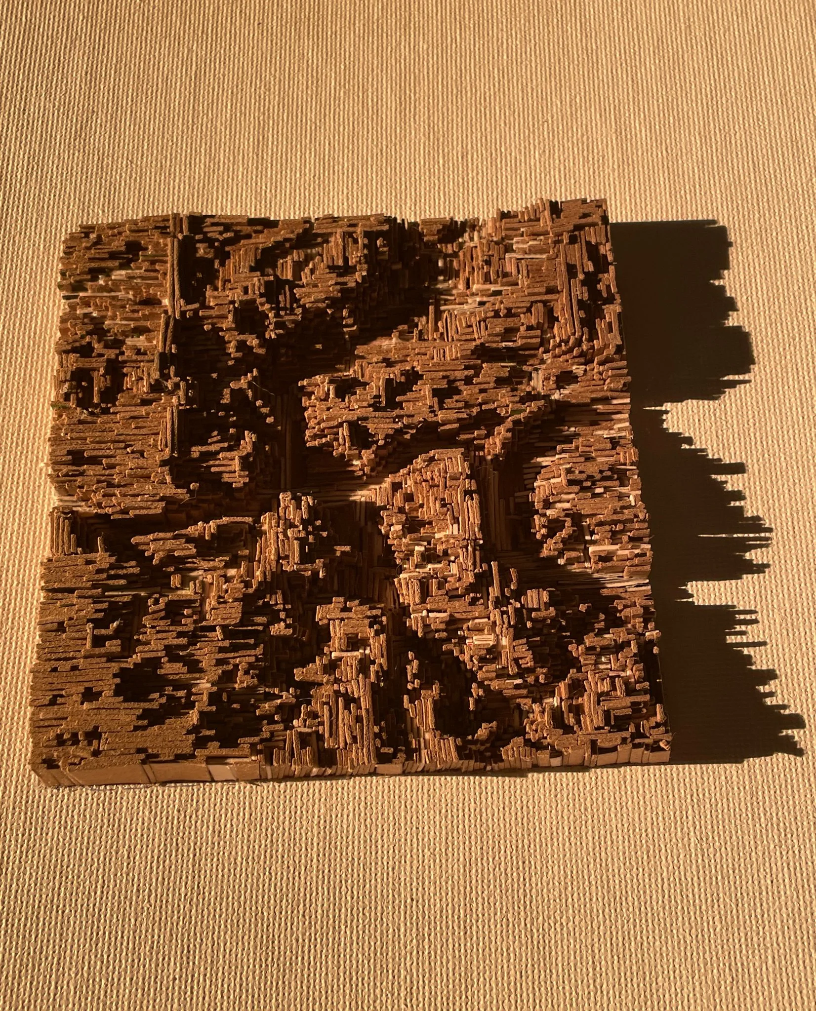 A Cancer Season Series