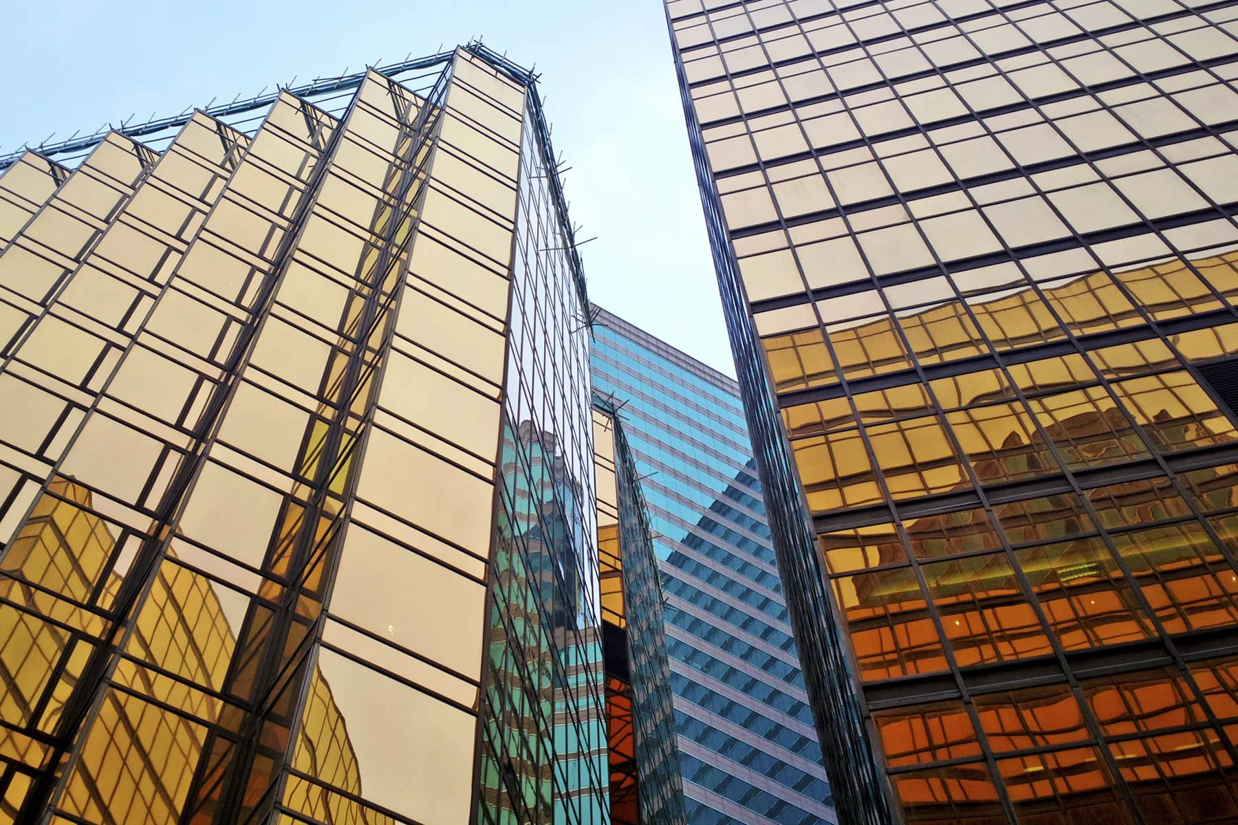 Building a strong management team as an SME: how do you go about it?