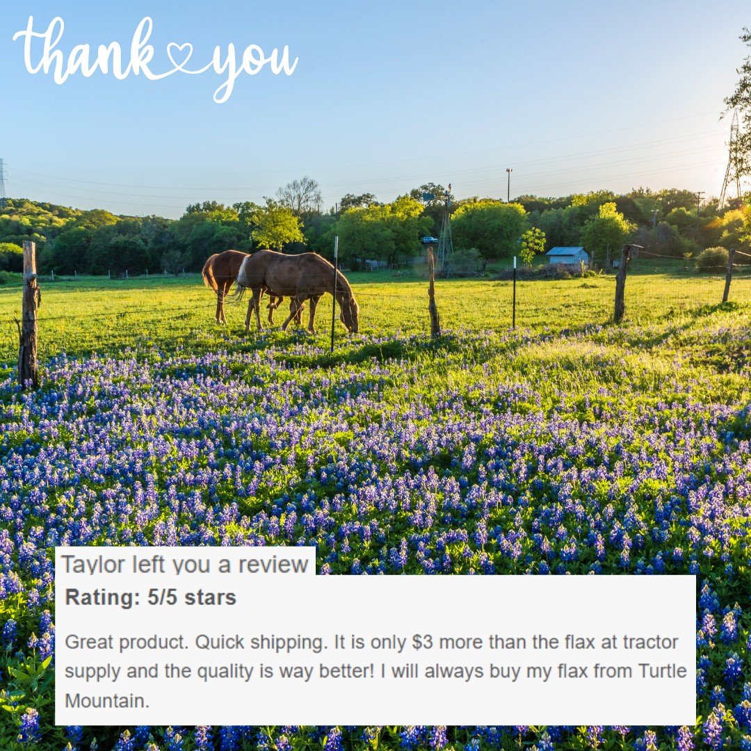 Love when my email dings that we've received a new review 🥰 Thank you Taylor!

 #turtlemountainflax #coldmilledflax #northdakotagrown #foragebasedhorses #northdakota #ppidhorses #horsesupplies #northdakotamade #horsesupplement #flaxseed