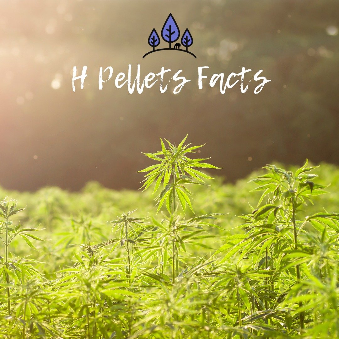 Let's talk about our H Pellets!

(If you haven't caught on yet, facebook doesn't like the &quot; h e m p &quot; word, so we try not to use it often!)

Nevertheless, these pellets are made from a single ingredient - the h*mpseed after the seed itself 