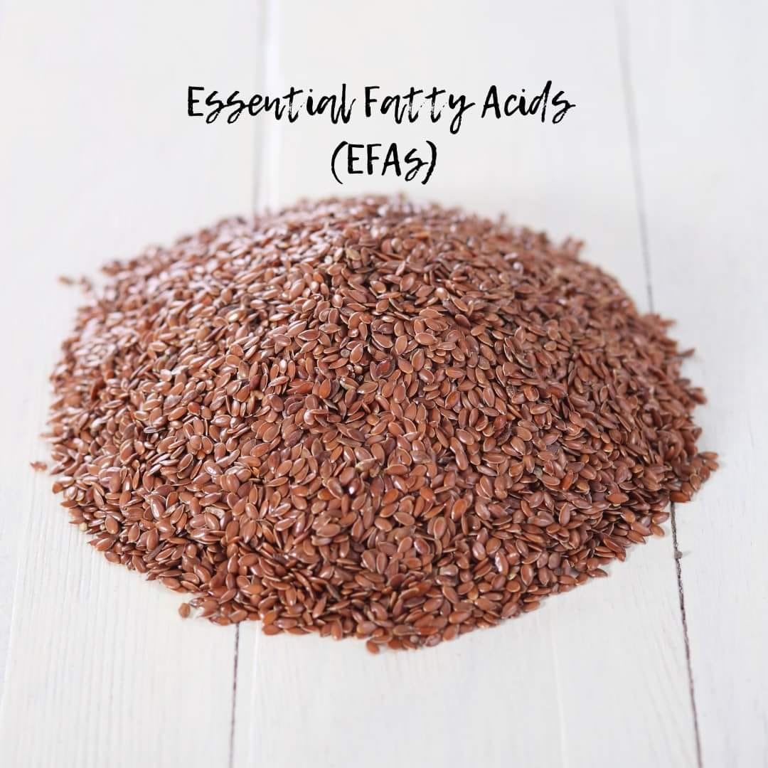 Worth another share!
We always try to keep up on research and nutritional information from the veterinary community, and this is a good article outlining the best Omega-3 option between flaxseed, chia seeds, and fish oil as a source of essential fatt