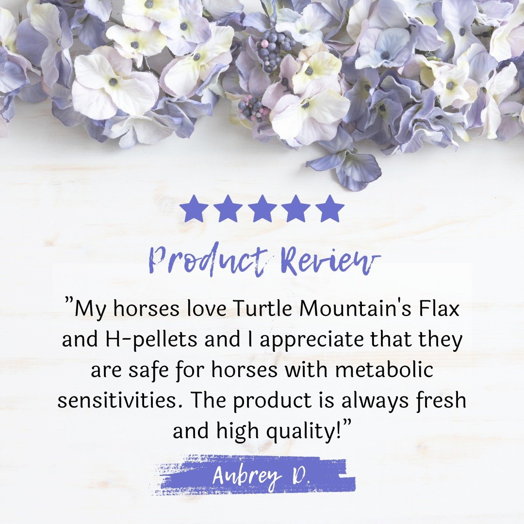 When we first opened our doors, we understood how tricky it was to feed horses with metabolic issues - we are happy we've been able to help so many of you dealing with the same issues! 💜 Thank you Aubrey! 

 #coldmilledflax #northdakotagrown #forage