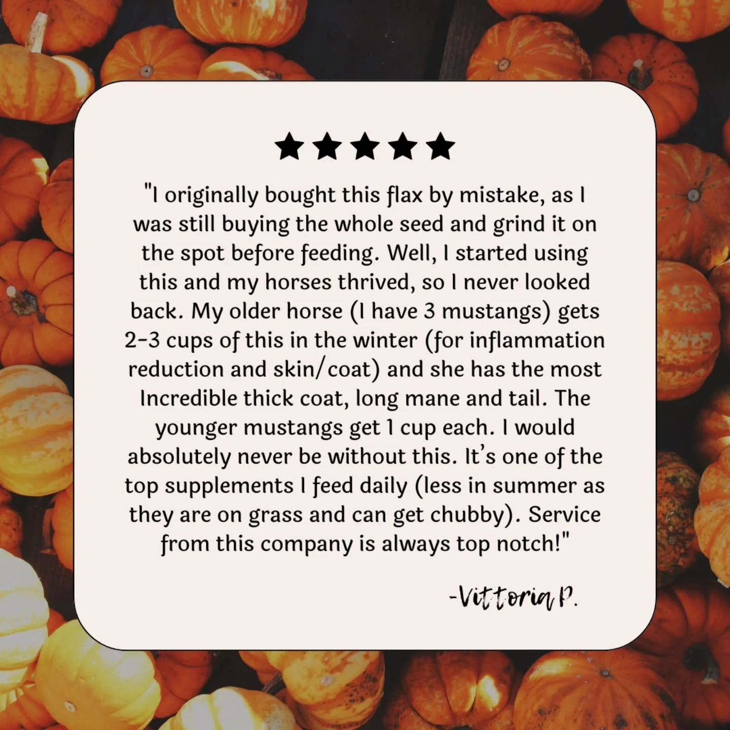 We are closed today and tomorrow but this was too nice not to share. Probably one of the most thoughtful reviews in a long time! 💙 Thank you Vittoria!
