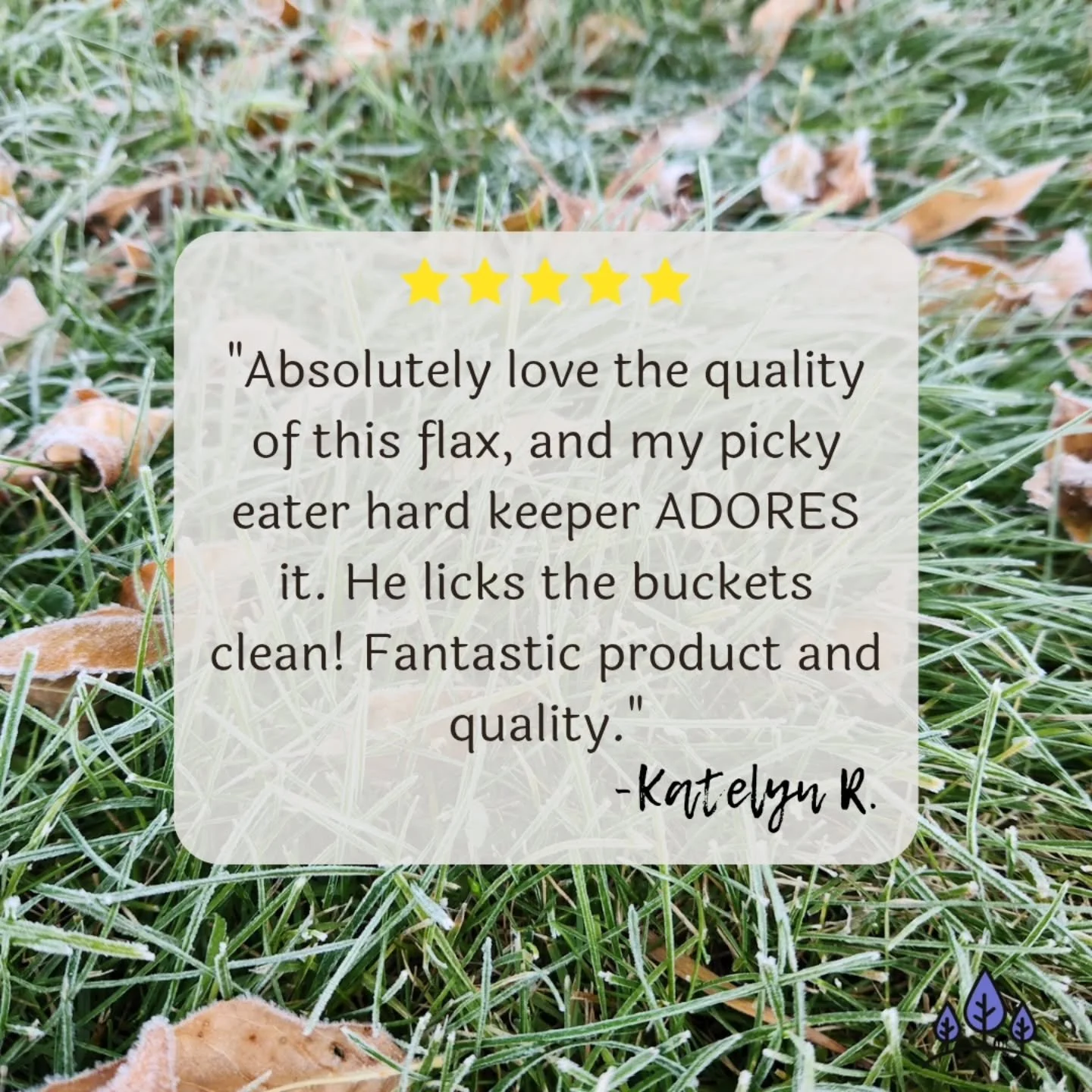Thank you Katelyn 🥰 Licking the bucket is the best horse review!!
Side note: that background photo? I took it this morning - everything was covered in a thick layer of frost and 29°. My oldest decided maybe to bring a jacket to school 😅