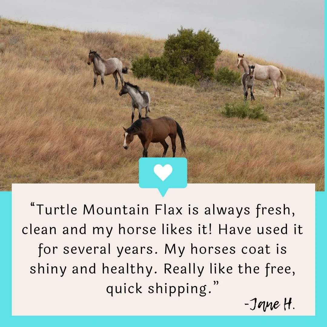 Jane placed her first order with us in 2022 and has been with us since! 😊 Thank you Jane! We appreciate you and are so glad you love our flax. 

 #turtlemountainflax #coldmilledflax #northdakotagrown #foragebasedhorses #northdakota #flaxforhorses #p