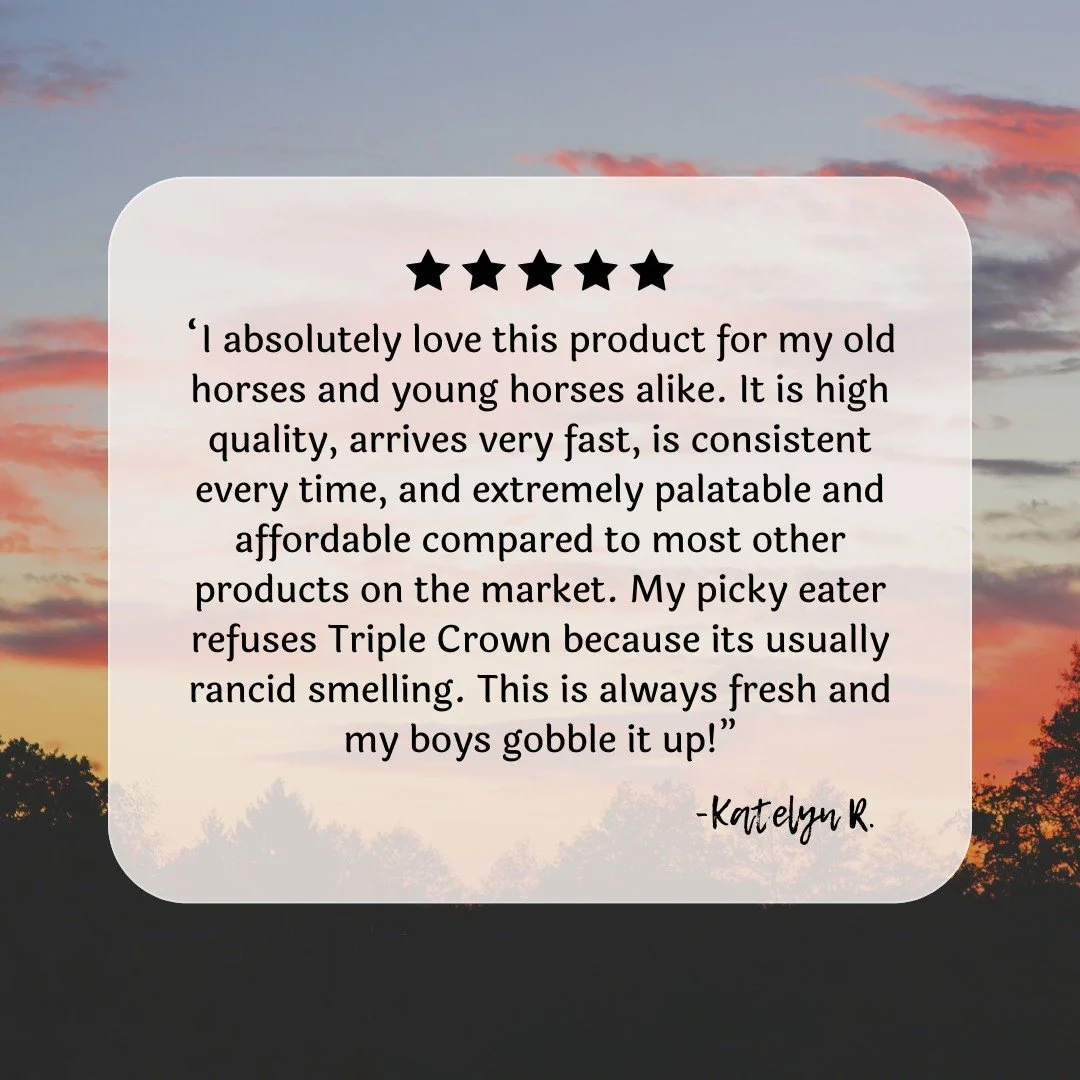 Thank you Katelyn 🥰💜 We appreciate your review!! 

 #turtlemountainflax #coldmilledflax #northdakotagrown #foragebasedhorses #northdakota #flaxforhorses #ppidhorses #horsesupplies #flaxseed #northdakotamade