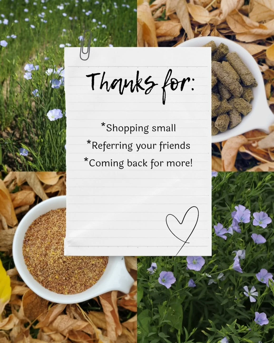 Even better than seeing new names pop up is seeing you come BACK because you love it! Or sending your friends our way. 
This holiday season (and every day), thank you for shopping small. We aren't a big company with a bunch of employees - just a litt