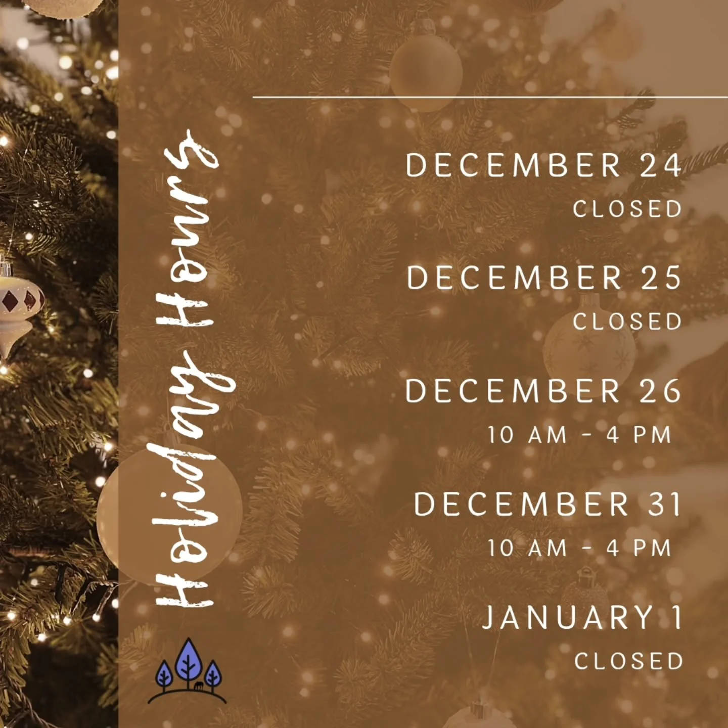 ❄️ Upcoming holiday hours: 

It's almost Christmas so take a peek at our upcoming holiday hours! We will be closed Christmas Eve and Day - lots of things to do with the kids! 🥰 We will have shortened hours a couple days too. 

If you have an upcomin