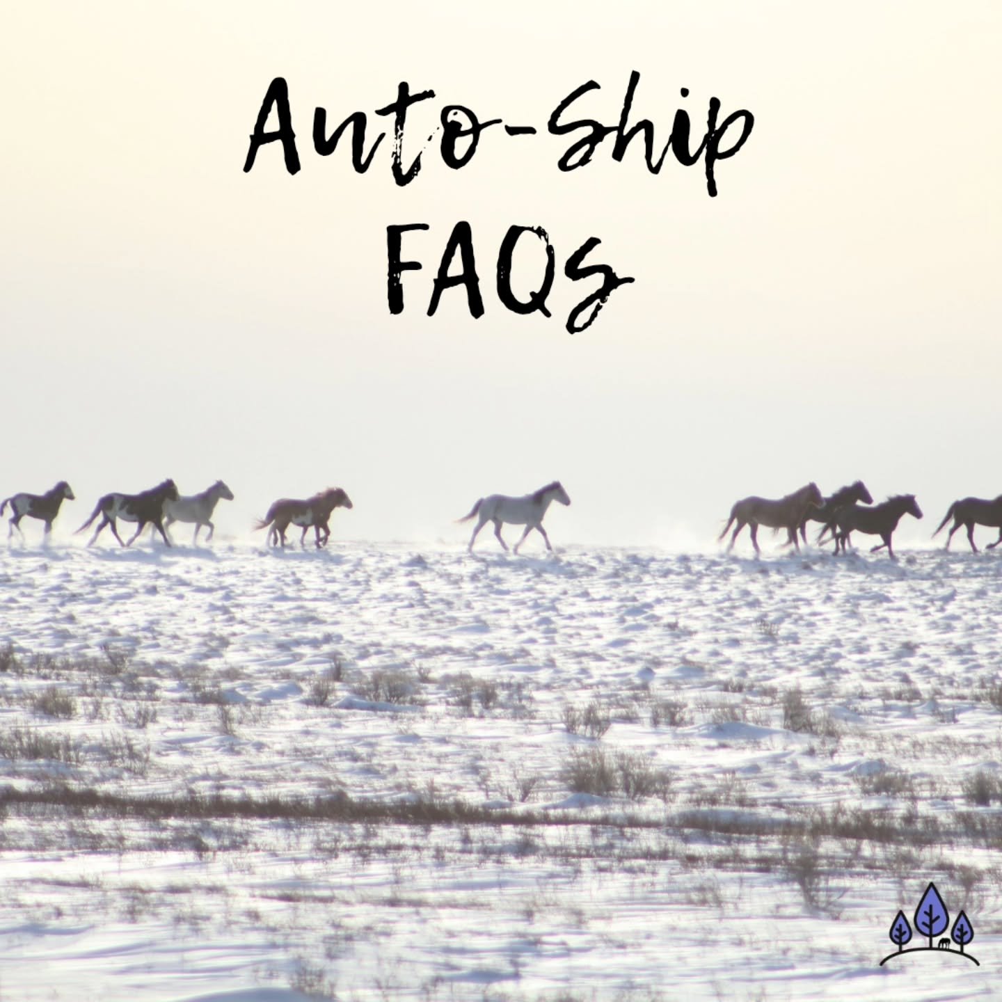 Quick end of the year FAQs about our subscription, or Auto-Ship, service! ⬇️😊

1) Can I skip a month? 
You absolutely can. Whether you're going on vacation or don't need as much in the grazing season, just send us a message via email, Facebook or te