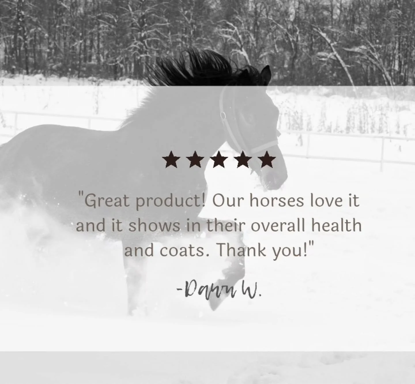 Thank you for being a long time customer Dawn! 🥰