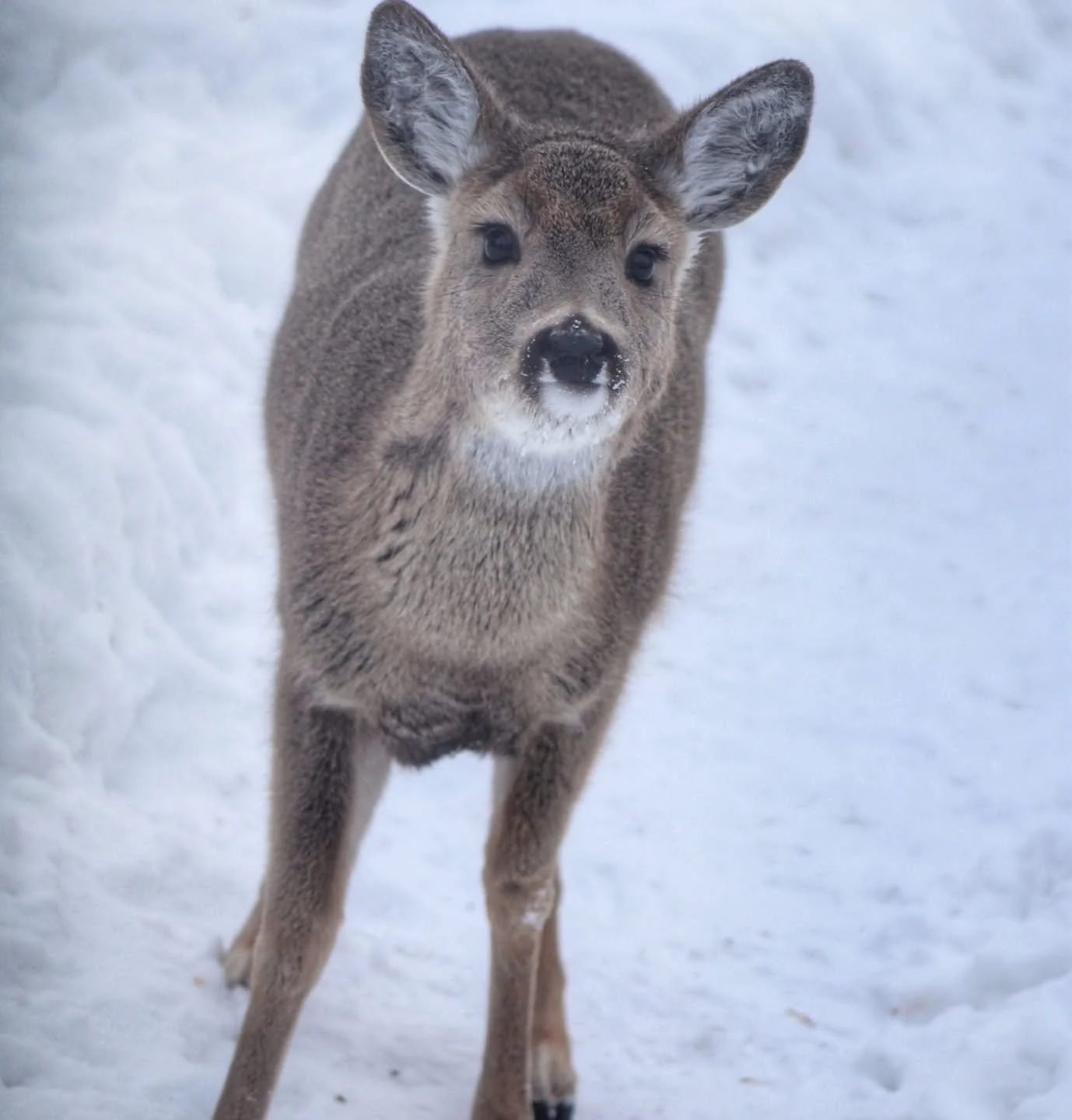 If I spill outside I'm not going to complain about who cleans it up, right? 😂 Cutie pie alert!