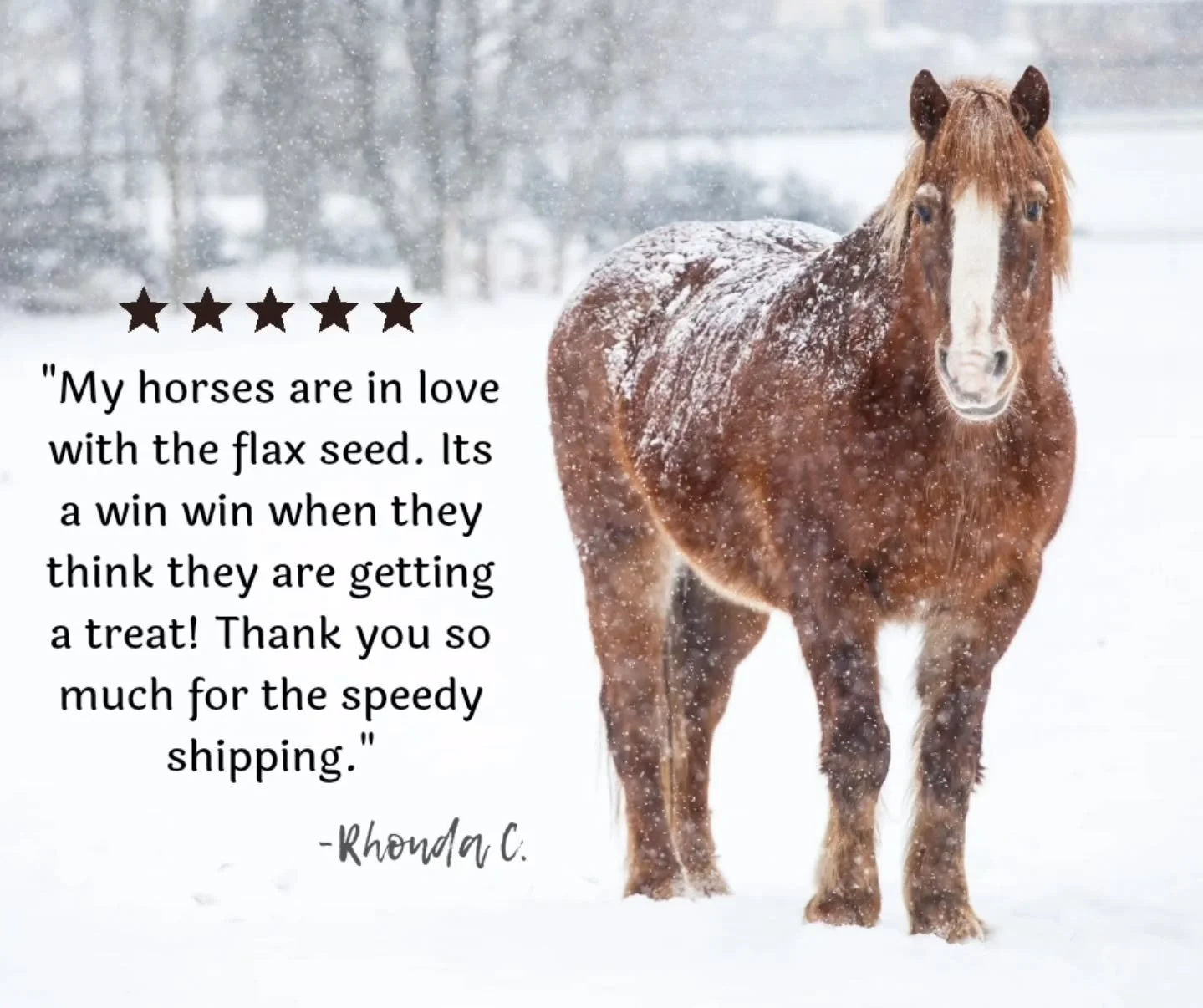 Thank you Rhonda 🥰 I'm always so glad when I hear that people's horses think it's a treat not a supplement 👌