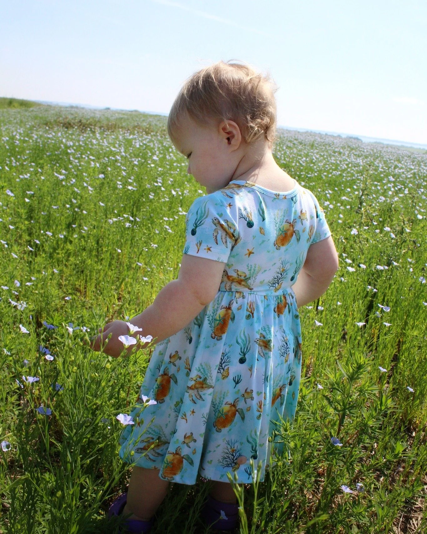 On days like today with yet another winter storm warning, we are looking forward to summer when the flax will be blooming! I miss seeing the sun 😅 
Hope you aren't getting bad winter weather where you are!

 #foragebasedhorses #northdakotagrown #tur