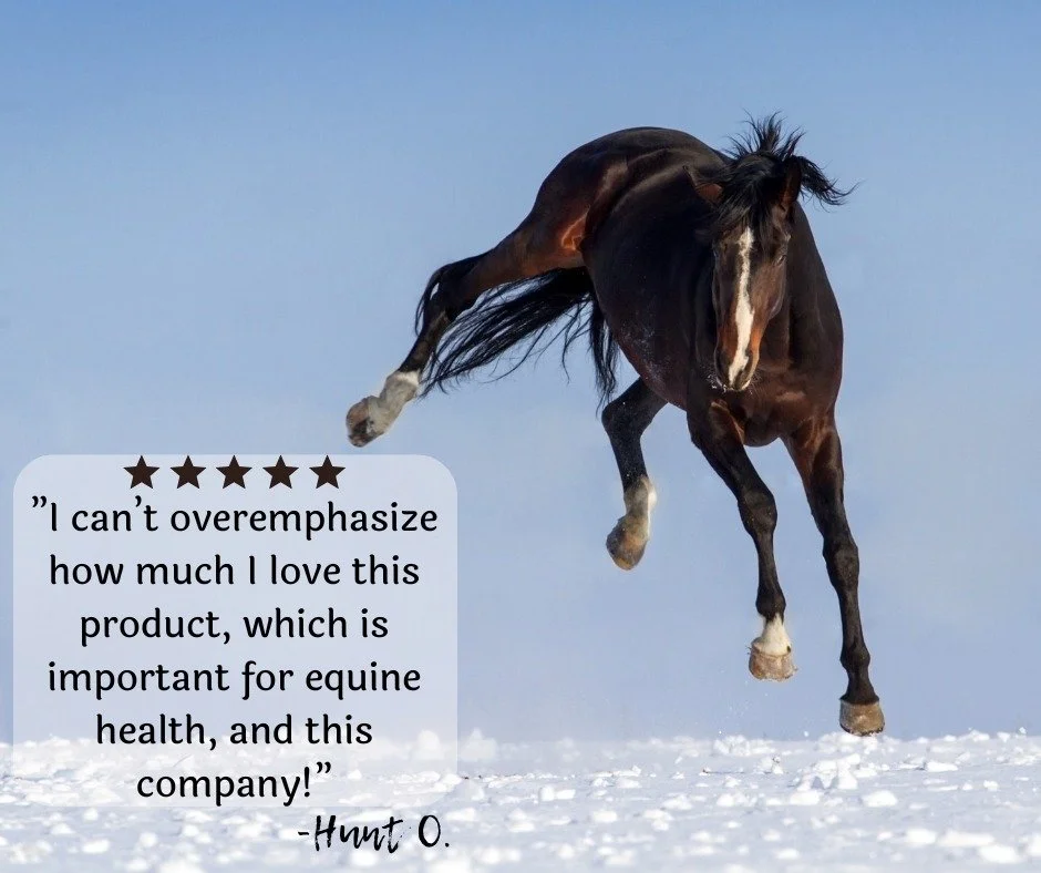 After the "you have a new order" sound on my phone, the chime for a new review is the next best thing I hear all day! 🥰 

We love knowing what you all think, PLUS we hear all the time that potential new customers read your reviews and that