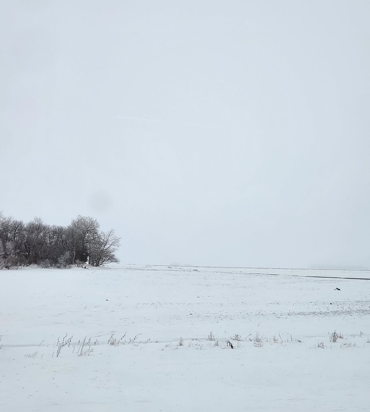 Happy Friday! What's the weather like in your area?
 
We left one area with crappy weather (freezing rain) and flew into another with lots of heavy wet snow 😅 but I am so ready to get somewhere where at least the sun is shining! We are in the "