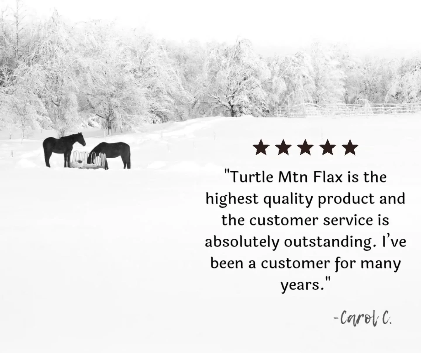 Carol has been a customer since 2022! 🥳
Although I do love seeing new faces/customer names come through the ordering system, it makes me even *happier* when I see the same name order again and again. Must be doing something right! 😁