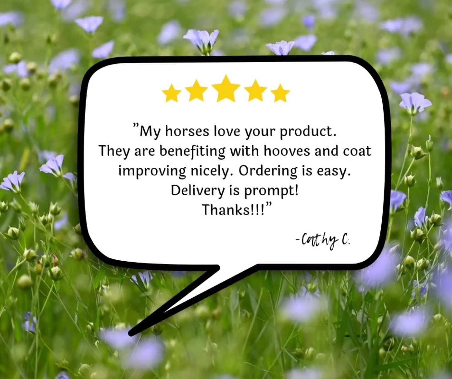 I'm pretending it's not a "winter storm warning" outside by using summery flax photos on my posts 😂🤪

Thank you Cathy! It's so nice being small enough that I get to know my customers a little bit! 🥰