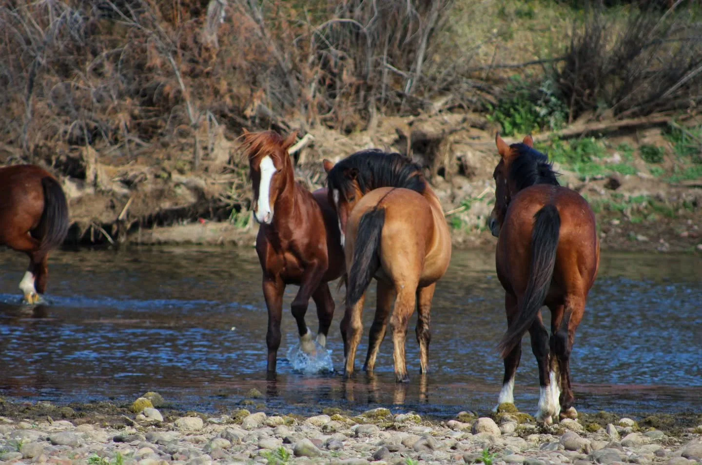 Come March... we're all pretty tired of winter around here 😅 I'm particularly tired of snow blowing, but Mother Nature decided we needed more snow I guess. Schools were delayed this morning, roads are icy, and I'm not confident UPS will come 🫠 (I e