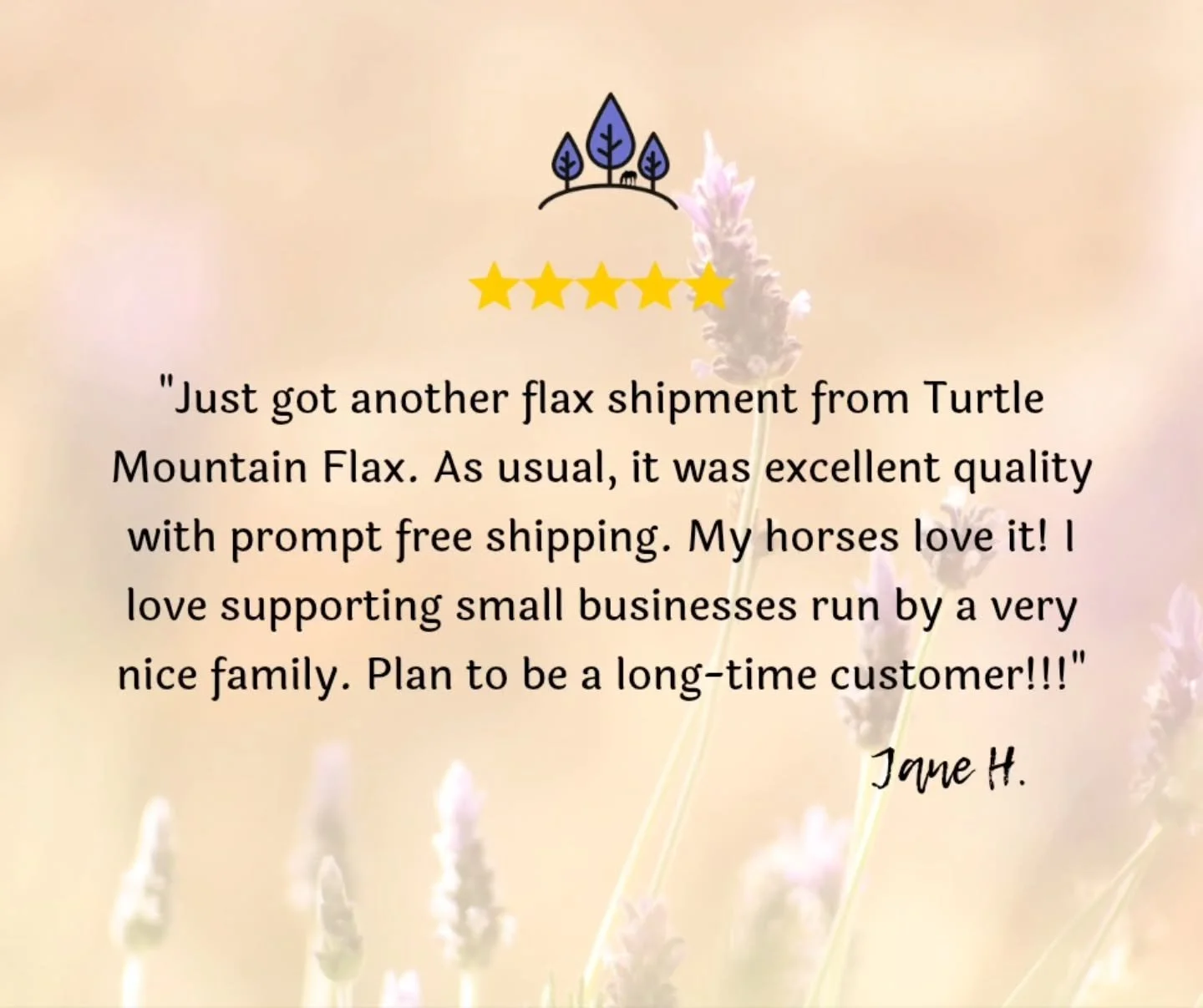 Thank you Jane 🥰
I'm so glad we still have customers here that we have had from year 1! That's a lot of years of loyalty 😅 We appreciate you all, whether you've been here for one day or 6 years.