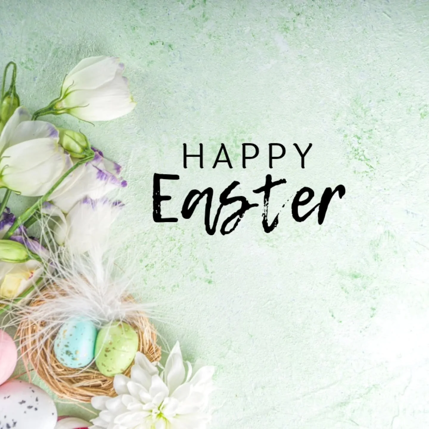 Happy Easter 🥰🐰🪷

We hope you all have a great day, however you're spending it.