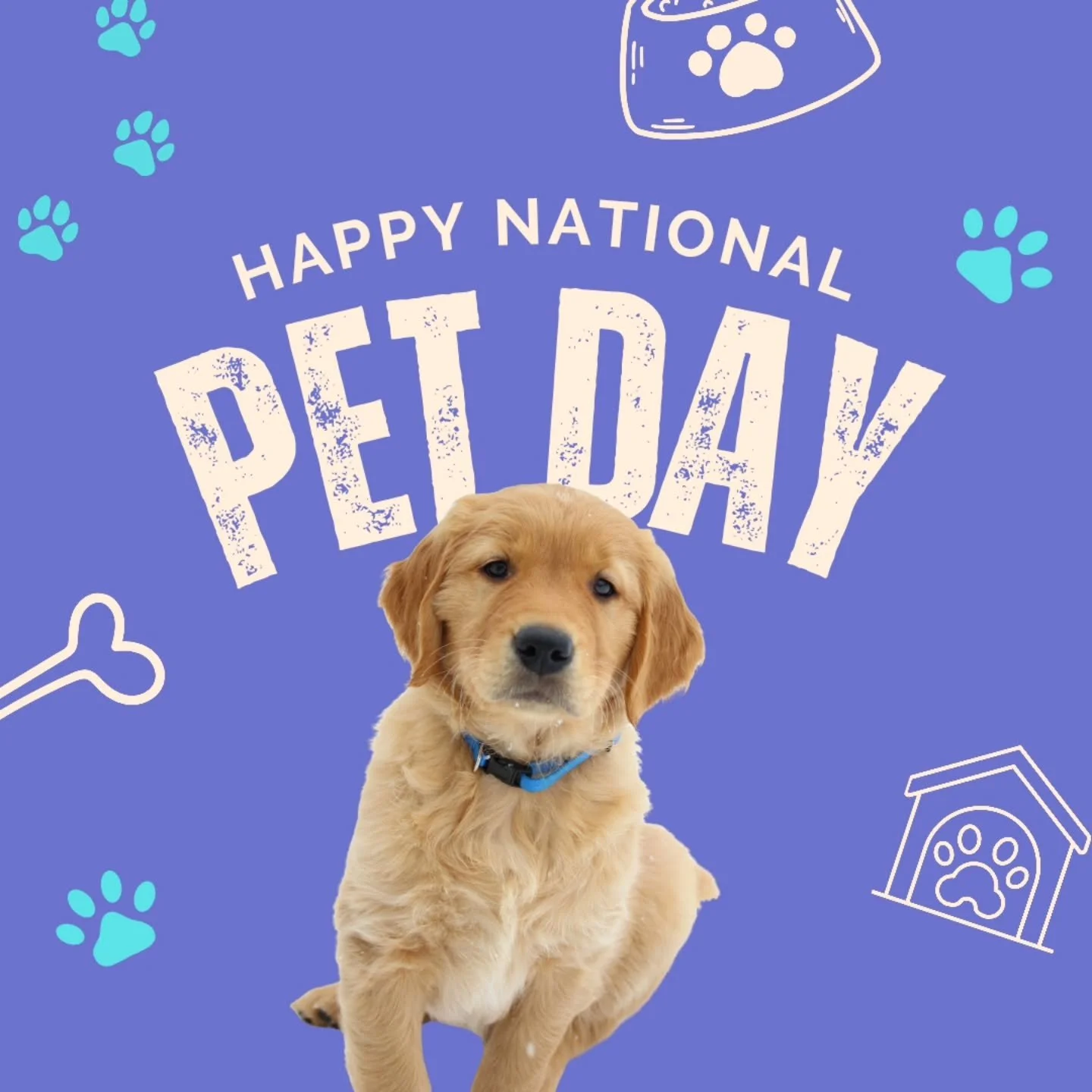 It's National Pet Day! 
Give everybody an extra treat today from us 🥰

We'll be scrolling through stories later to see everyone's cute pets!